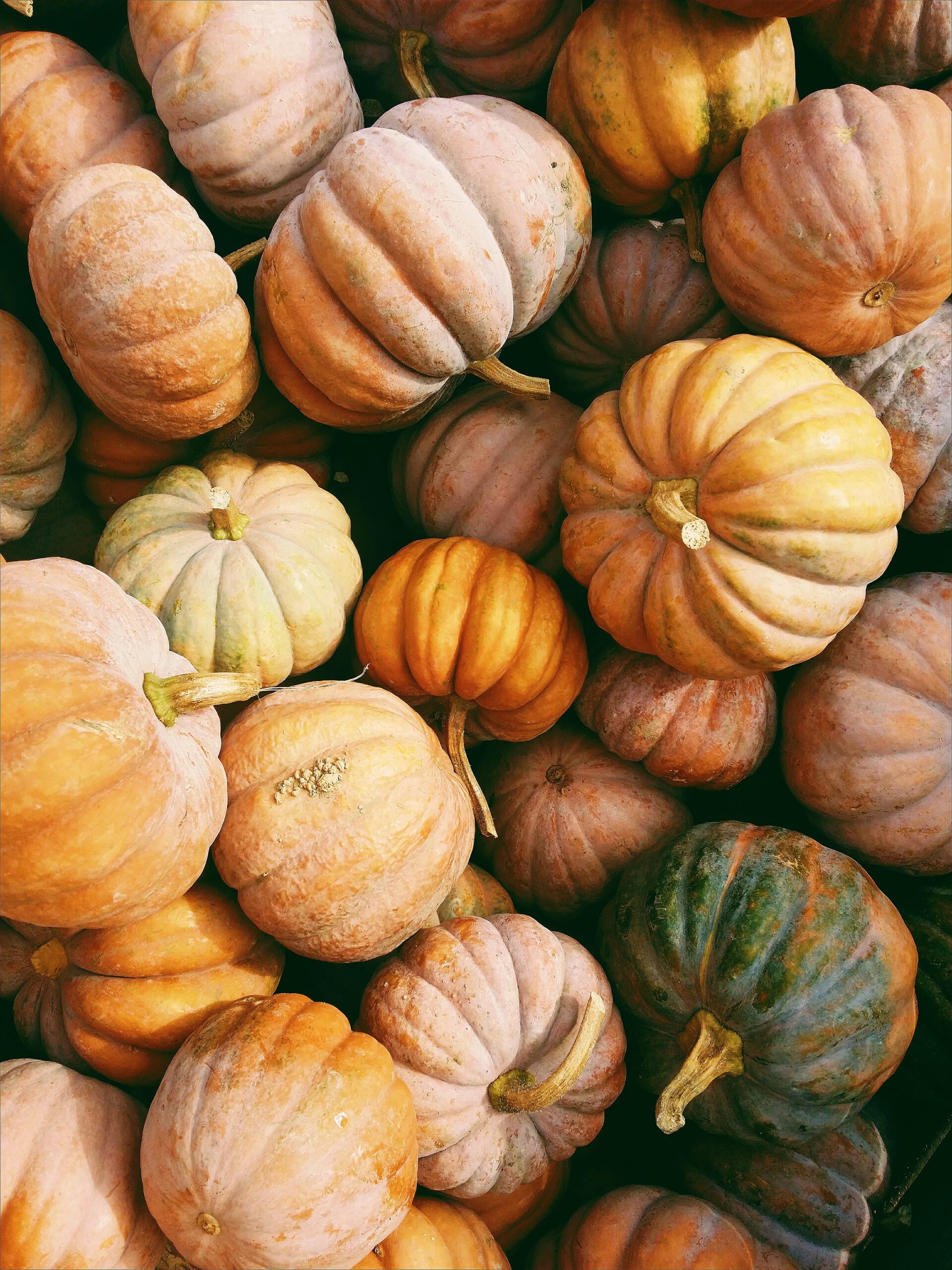 a pile of pumpkins sitting next to each other